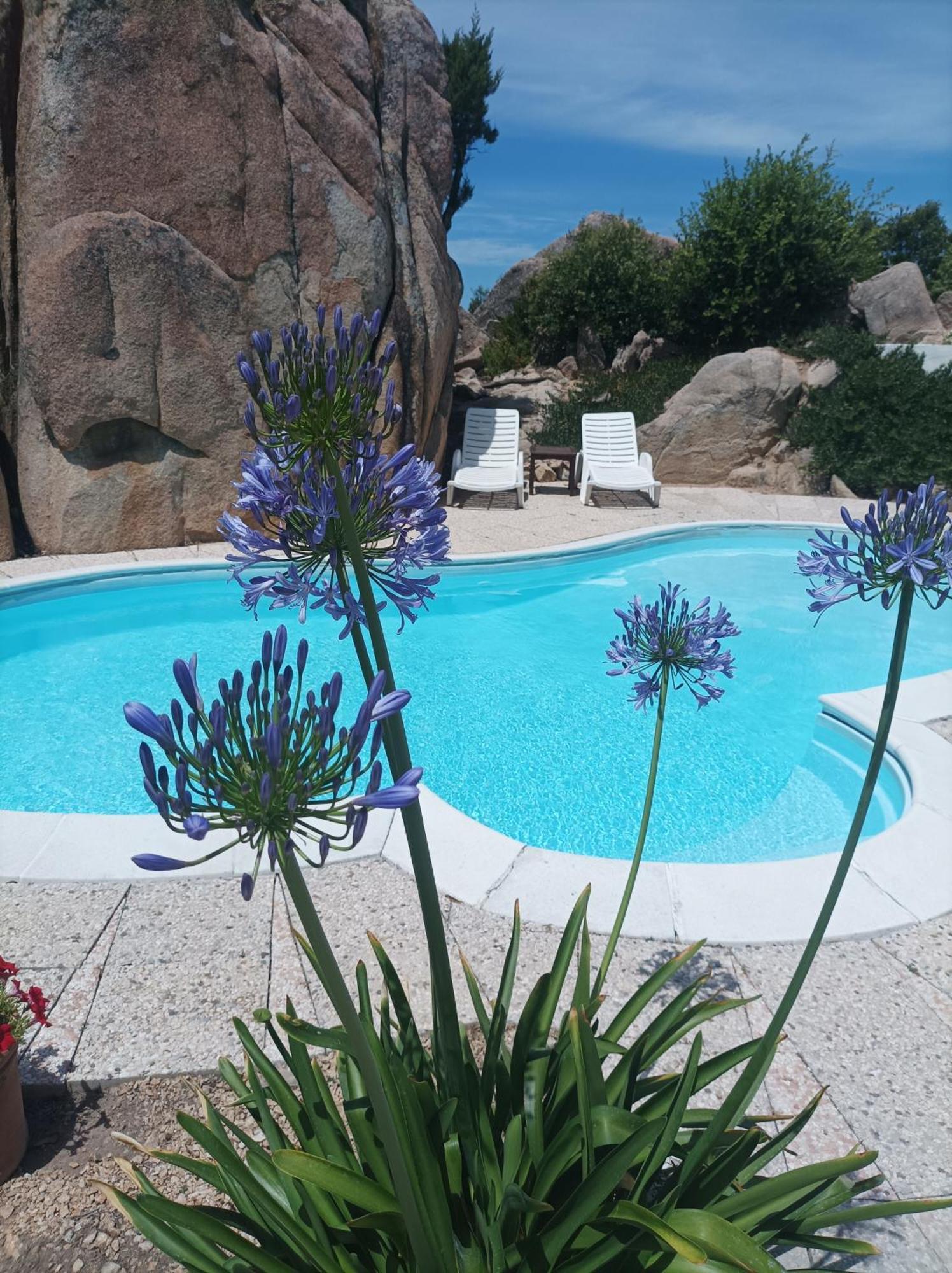Villa Majore Beb Con Piscina Privata Rena Majore Exterior foto